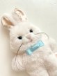 画像8: ［ 2025.6/29 - 7/2 ］ 抽選応募受付 うさきちぬいぐるみ Small size (8)