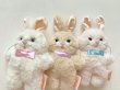 画像2: ［ 2025.6/29 - 7/2 ］ 抽選応募受付 うさきちぬいぐるみ Small size (2)