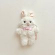 画像3: ［ 2025.6/29 - 7/2 ］ 抽選応募受付 うさきちぬいぐるみ Small size (3)