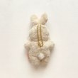 画像11: ［ 2025.6/29 - 7/2 ］ 抽選応募受付 うさきちぬいぐるみ Small size (11)
