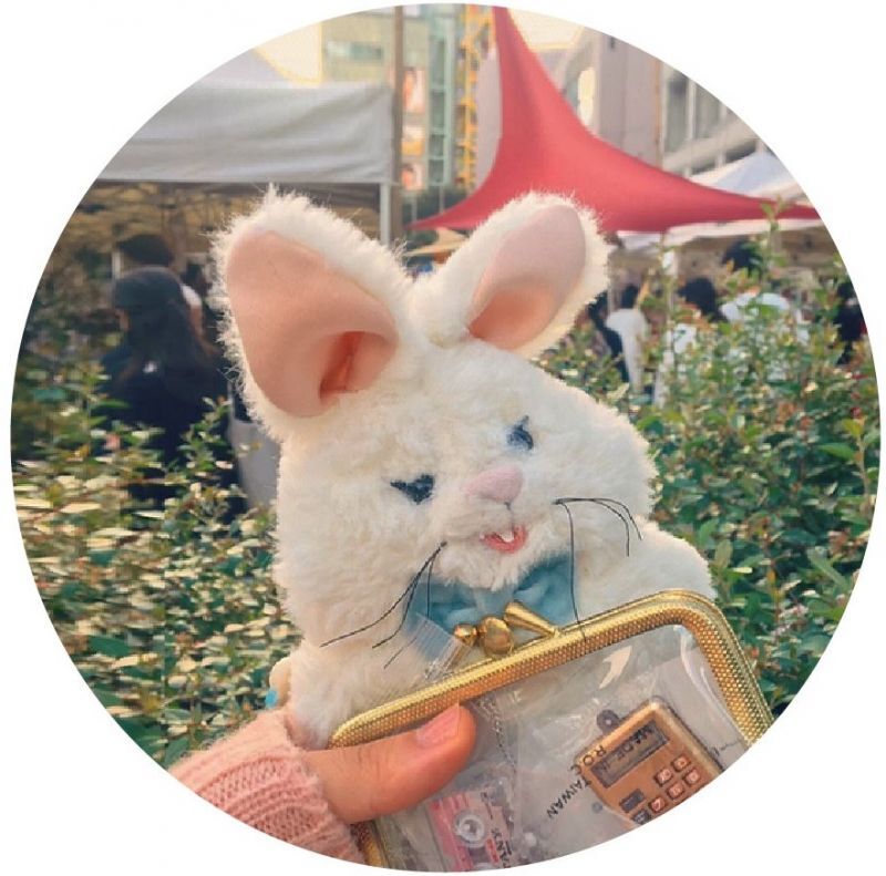  Instagram  / Usakich Bunny